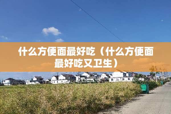 什么方便面最好吃（什么方便面最好吃又卫生）