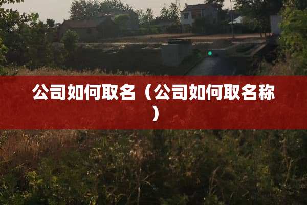 公司如何取名（公司如何取名称）