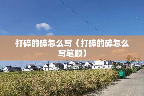 打碎的碎怎么写（打碎的碎怎么写笔顺）