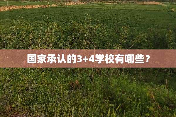 国家承认的3+4学校有哪些？