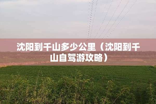 沈阳到千山多少公里（沈阳到千山自驾游攻略）