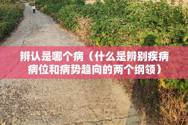 辨认是哪个病（什么是辨别疾病病位和病势趋向的两个纲领）