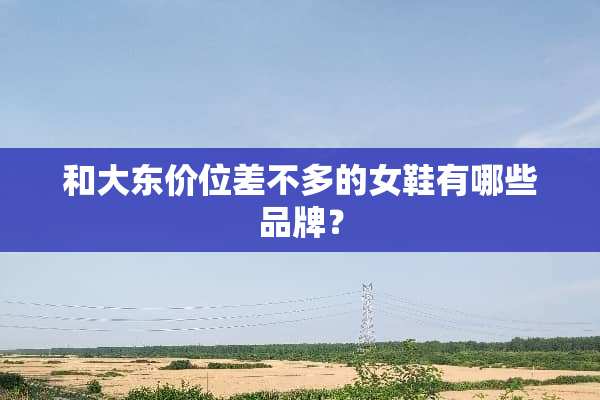 和大东价位差不多的女鞋有哪些品牌？