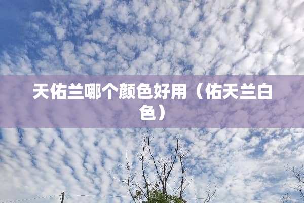 天佑兰哪个颜色好用（佑天兰白色）