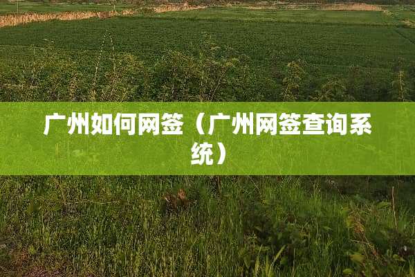 广州如何网签（广州网签查询系统）