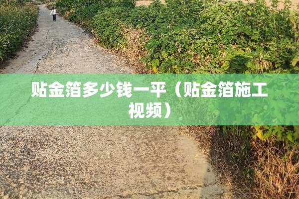 贴金箔多少钱一平（贴金箔施工视频）