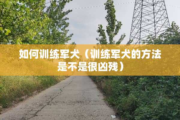 如何训练军犬（训练军犬的方法是不是很凶残）
