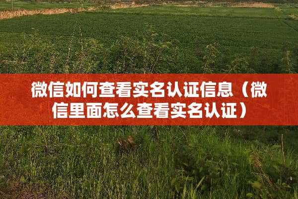 微信如何查看实名认证信息（微信里面怎么查看实名认证）