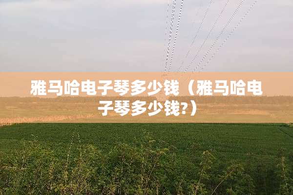 ***电子琴多少钱（***电子琴多少钱?）