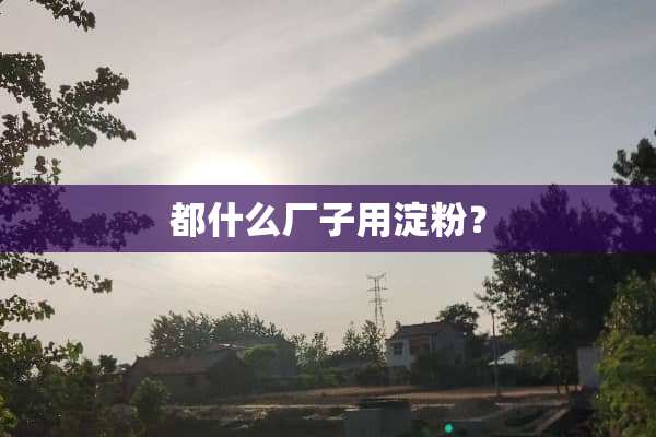 都什么厂子用淀粉？