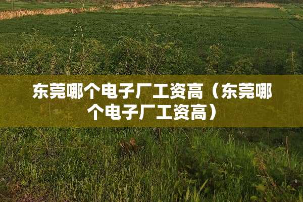 东莞哪个电子厂工资高（东莞哪个电子厂工资高）