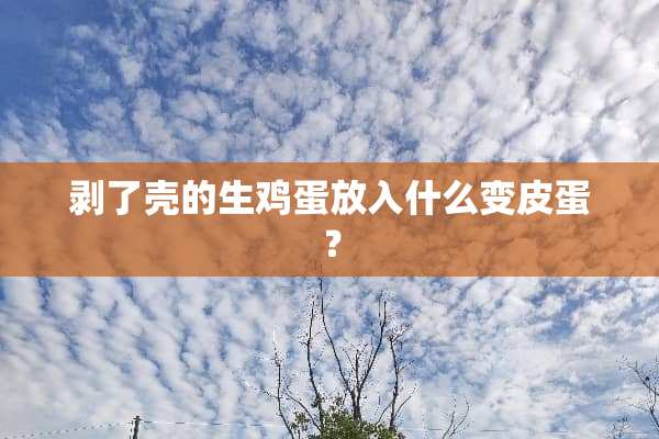 剥了壳的生鸡蛋放入什么变皮蛋？