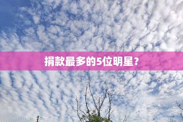 捐款最多的5位明星？