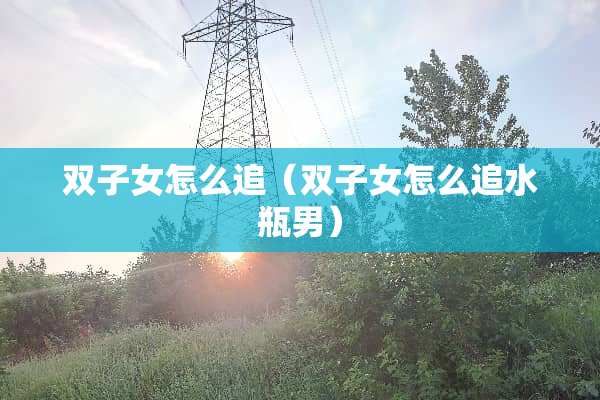 双子女怎么追（双子女怎么追水瓶男）