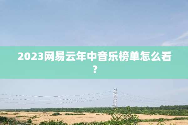 2023网易云年中音乐榜单怎么看？