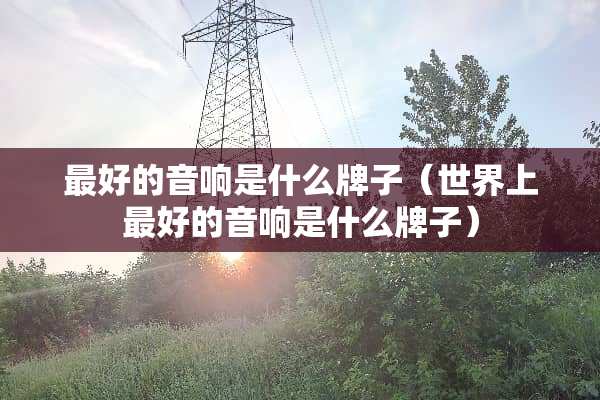 最好的音响是什么牌子（世界上最好的音响是什么牌子）