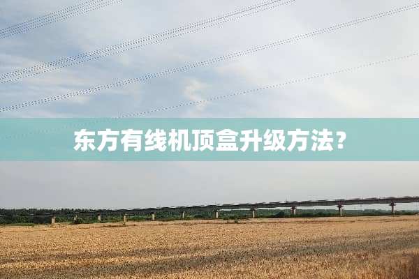 东方有线机顶盒升级方法？