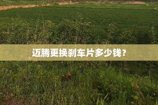 迈腾更换刹车片多少钱？