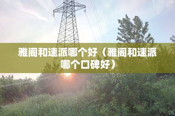 雅阁和速派哪个好（雅阁和速派哪个口碑好）