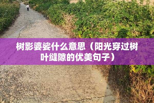 树影婆娑什么意思（阳光穿过树叶缝隙的优美句子）