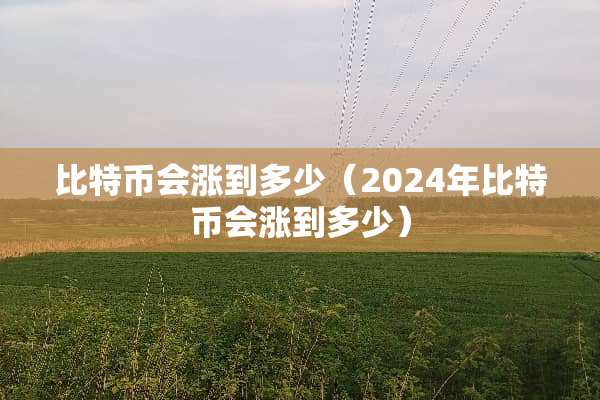 比特币会涨到多少（2024年比特币会涨到多少）