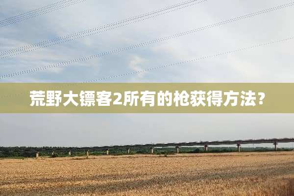 荒野大镖客2所有的*获得方法？