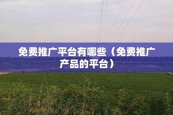 免费推广平台有哪些（免费推广产品的平台）