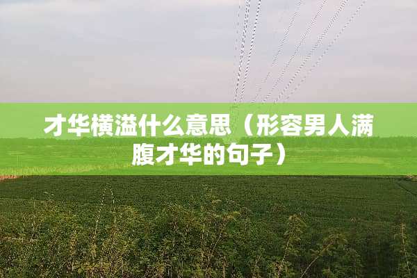 才华横溢什么意思（形容男人满腹才华的句子）