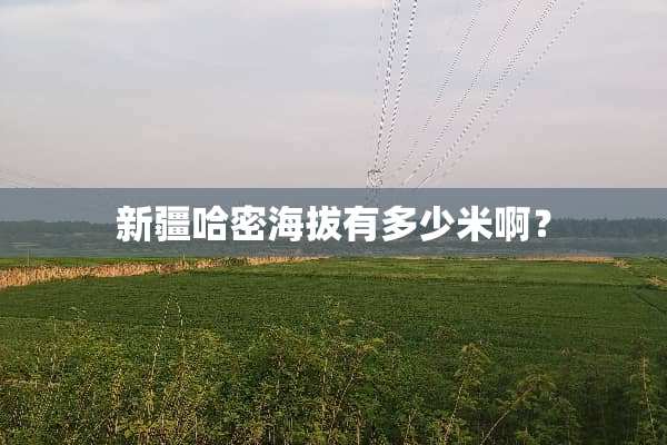 新疆哈密海拔有多少米啊？