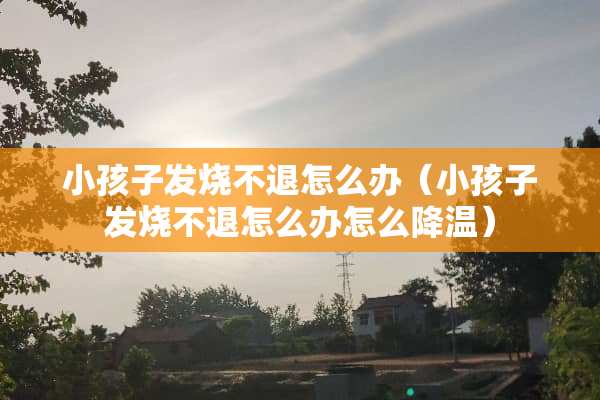 小孩子发烧不退怎么办（小孩子发烧不退怎么办怎么降温）