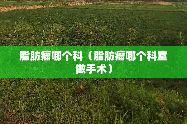 脂肪瘤哪个科（脂肪瘤哪个科室做手术）