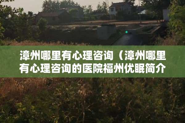 漳州哪里有心理咨询（漳州哪里有心理咨询的医院福州优眠简介）