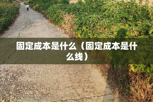 固定成本是什么（固定成本是什么线）