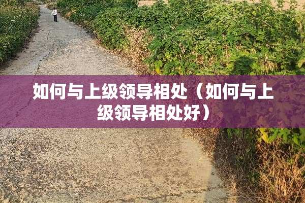如何与上级领导相处（如何与上级领导相处好）