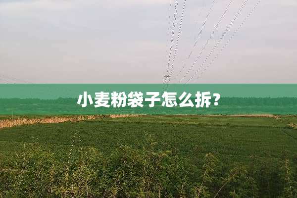 小麦粉袋子怎么拆？