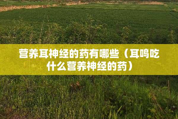 营养耳神经的药有哪些（耳鸣吃什么营养神经的药）