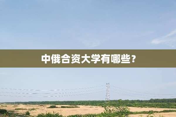 **合资大学有哪些？