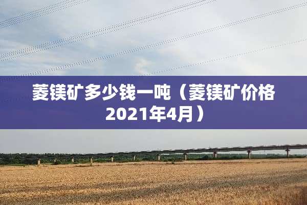 菱镁矿多少钱一吨（菱镁矿价格2021年4月）