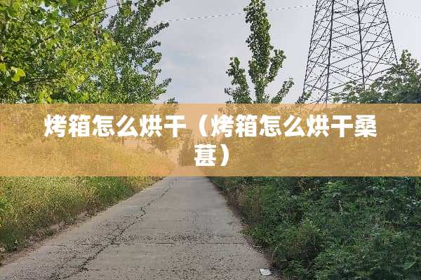 烤箱怎么烘干（烤箱怎么烘干桑葚）