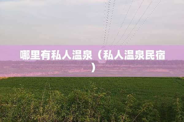 哪里有私人温泉（私人温泉民宿）