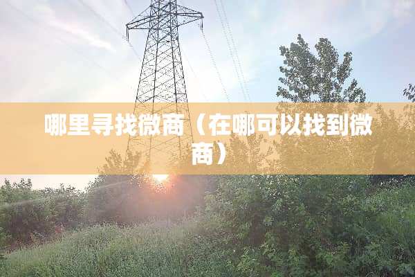哪里寻找微商（在哪可以找到微商）