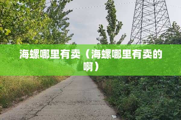 海螺哪里有卖（海螺哪里有卖的啊）