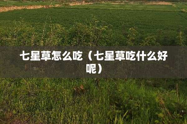 七星草怎么吃（七星草吃什么好呢）