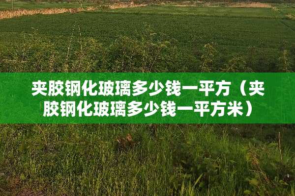 夹胶钢化玻璃多少钱一平方（夹胶钢化玻璃多少钱一平方米）