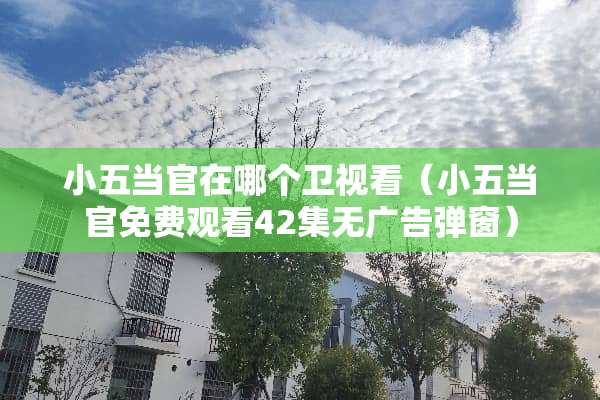 小五当官在哪个卫视看（小五当官免费观看42集无广告弹窗）