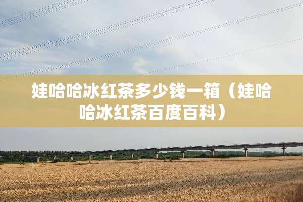 娃哈哈冰红茶多少钱一箱（娃哈哈冰红茶百度百科）