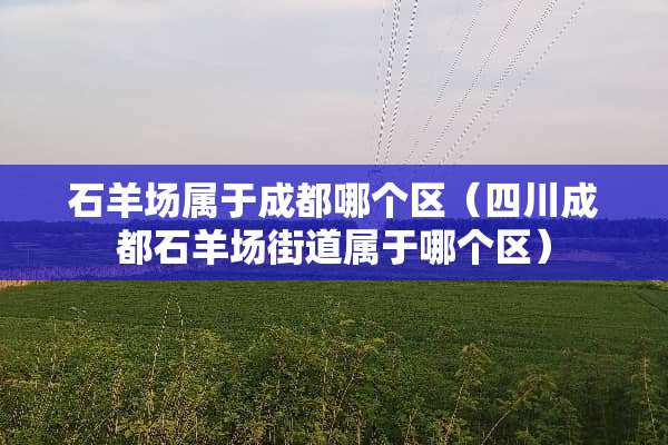 石羊场属于成都哪个区（四川成都石羊场街道属于哪个区）