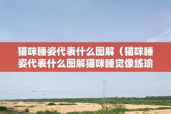 猫咪睡姿代表什么图解（猫咪睡姿代表什么图解猫咪睡觉像练瑜伽）