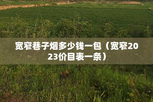 宽窄巷子烟多少钱一包（宽窄2023价目表一条）