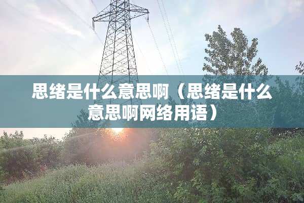 思绪是什么意思啊（思绪是什么意思啊网络用语）